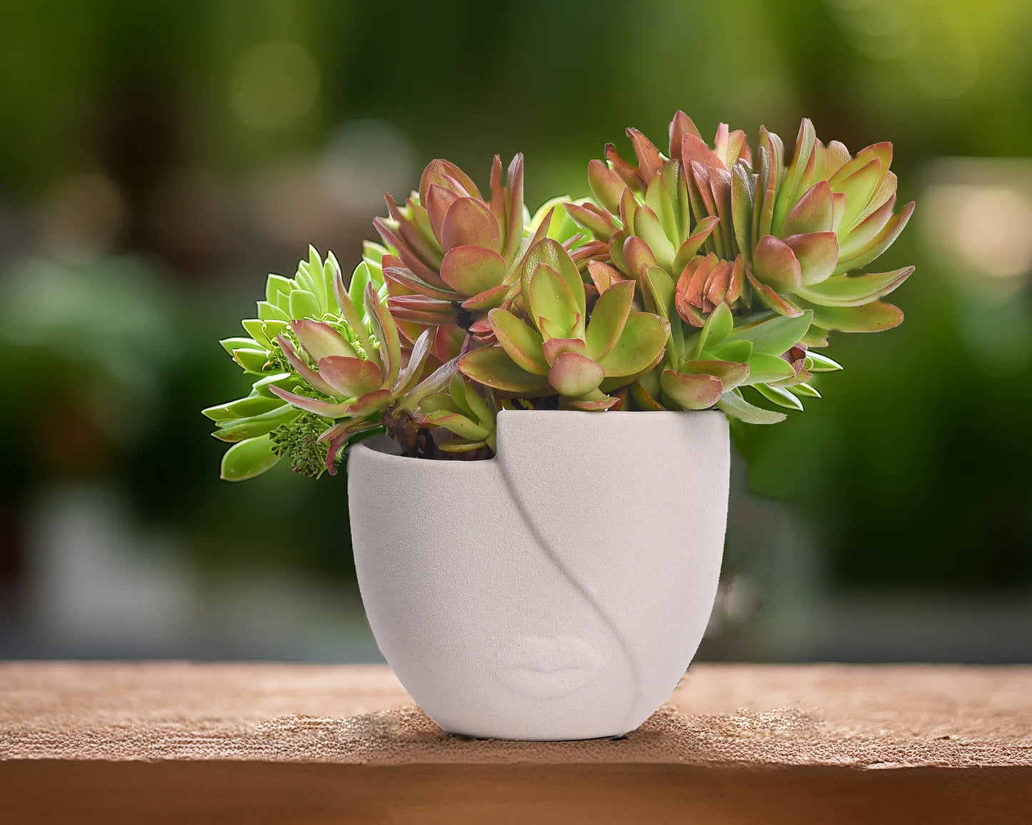 Succulent Face Flower Pots,Set of 2 Indoor/Outdoor Planter Pots with Drainage,Ceramic Head Planters for Home Decor,Brown 5.4" & 4.7"